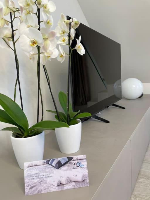 Queen Verona Luxury Apartment Екстериор снимка